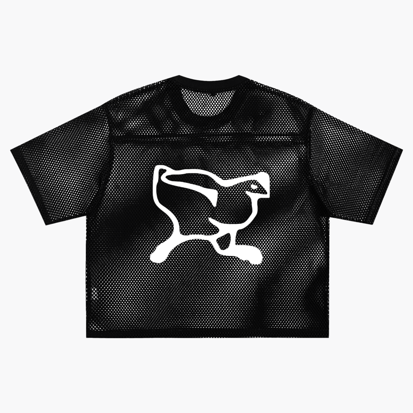 See-through Boxy Net T-Shirt